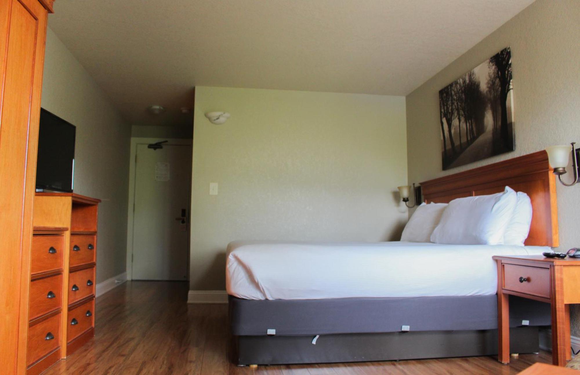 King Room,378166492:JPEG